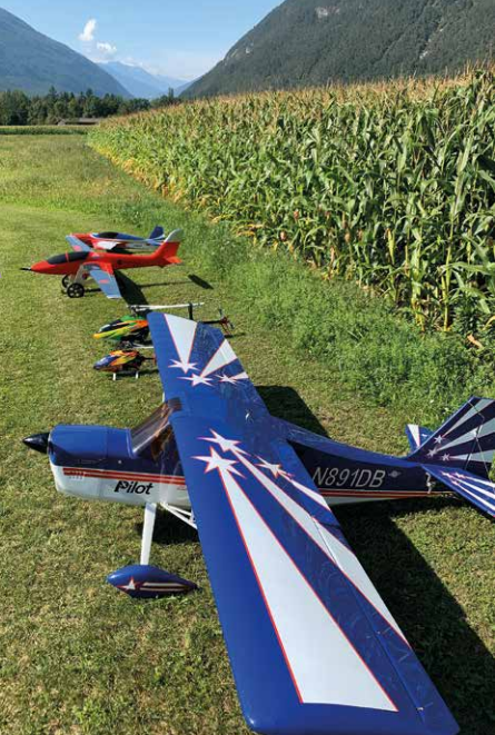 Eine Gruppe von Modellflugzeugen auf einem Feld